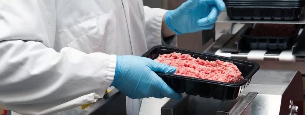 Carne avariata dalla Polonia, l'Italia tra gli importatori | Rec News dir. Zaira Bartucca