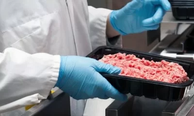 Carne avariata dalla Polonia, l'Italia tra gli importatori | Rec News dir. Zaira Bartucca