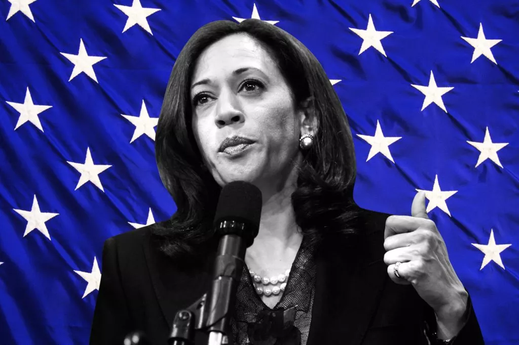 Presidenziali Usa 2020, Kamala Harris incandidabile | Rec News dir. Zaira Bartucca