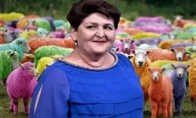 I "coltivatori ovini" di Teresa Bellanova. E la rete di scatena | Rec News dir. Zaira Bartucca