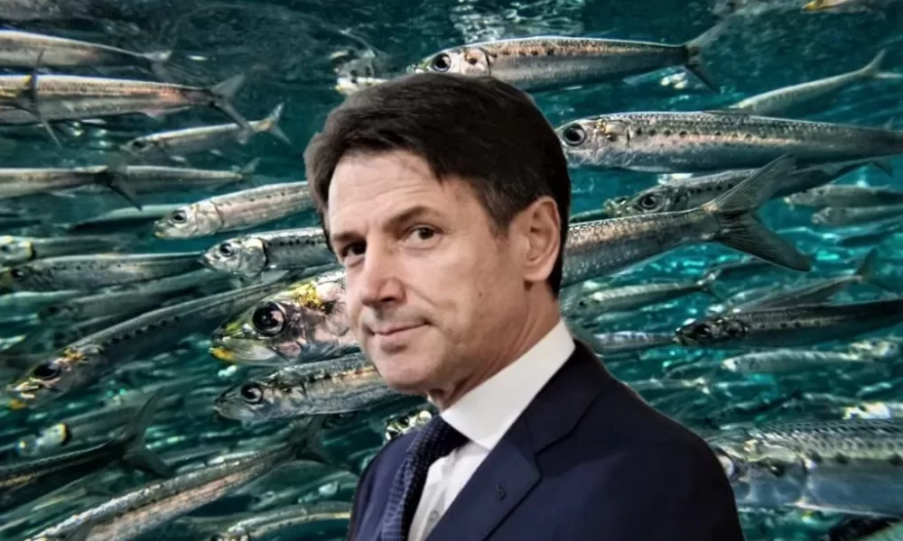 I legami delle sardine con Conte, il finto avvocato del popolo | Rec News dir. Zaira Bartucca