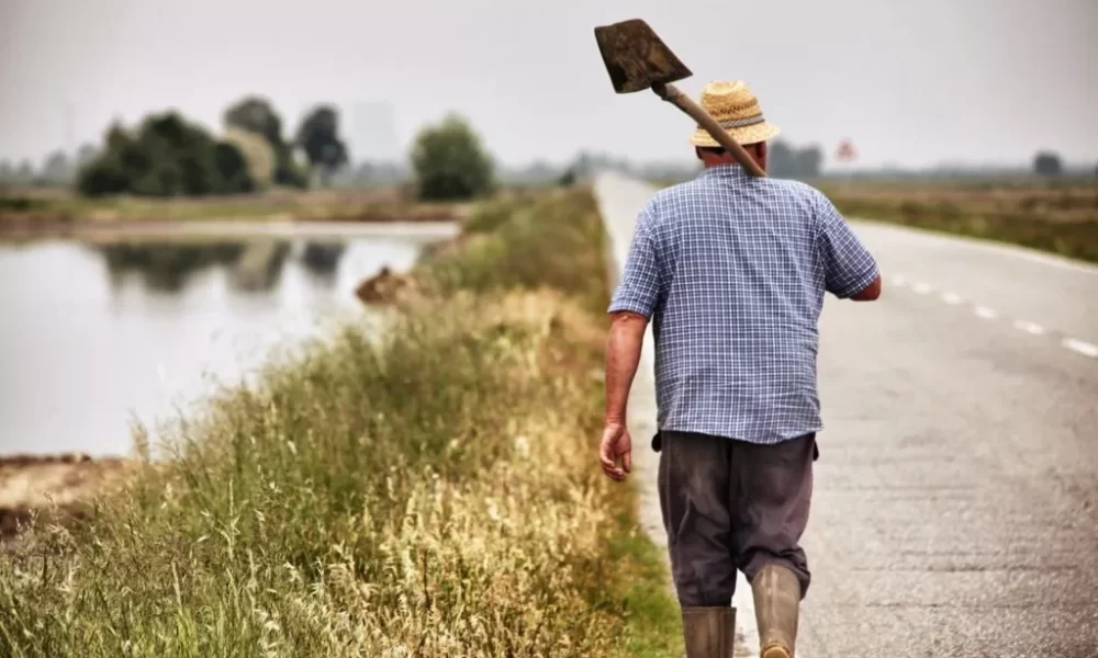 Agricoltura e Ue, preoccupa il "Farm to Fork". Intanto in Italia si sblocca il settore fitovivaistico | Rec News dir. Zaira Bartucca