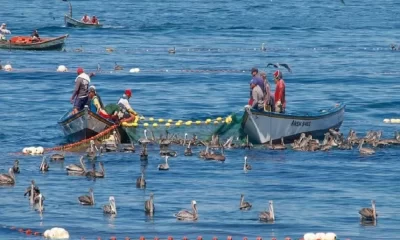 Pesca, il fermo biologico si mangia anche il Lazio | Rec News dir. Zaira Bartucca