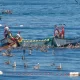 Pesca, il fermo biologico si mangia anche il Lazio | Rec News dir. Zaira Bartucca