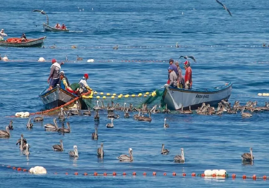 Pesca, il fermo biologico si mangia anche il Lazio | Rec News dir. Zaira Bartucca