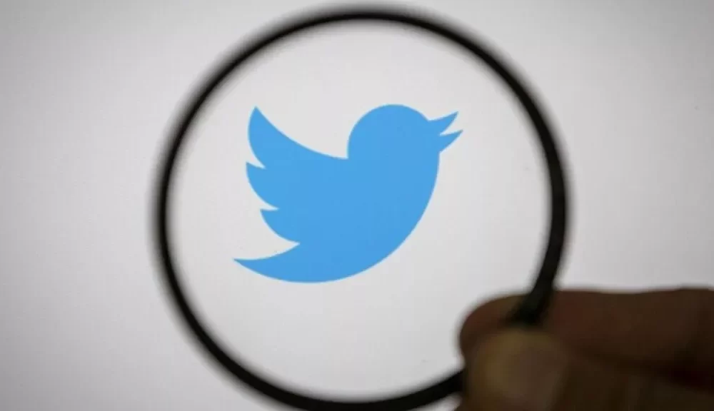 Cos'è Birdwatch, la nuova funzione spia di Twitter | Rec News direttore Zaira Bartucca