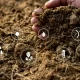 Dal data mining al data farming (III Parte) | Rec News direttore Zaira Bartucca