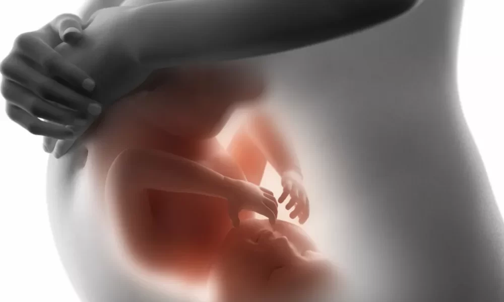 Uso di linee cellulari provenienti da feti abortiti, secco no di Pro Vita | RN dir Zaira Bartucca
