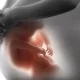 Uso di linee cellulari provenienti da feti abortiti, secco no di Pro Vita | RN dir Zaira Bartucca