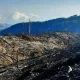 Incendi in Aspromonte, il sindaco di Roccaforte del Greco Penna punta il dito contro la Protezione Civile e la Prefettura | Rec News dir. Zaira Bartucca