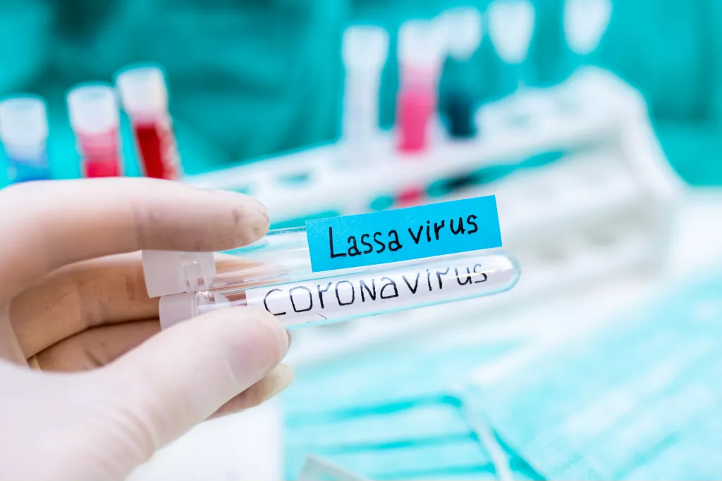Hanno finito col coronavirus e ora iniziano con la febbre di Lassa | Rec News dir. Zaira Bartucca