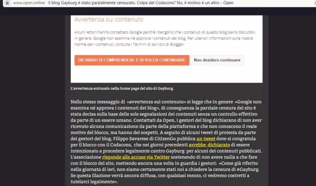 Google blocca Gayburg per le diffamazioni a Zaira Bartucca