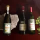 Orientarsi tra i vini più pregiati e costosi | Rec News dir. Zaira Bartucca
