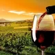 I vini rossi Vosne-Romanée, capolavoro della Borgogna