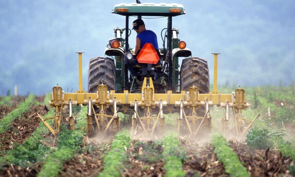 Calabria, Occhiuto limita le attività agricole per decreto