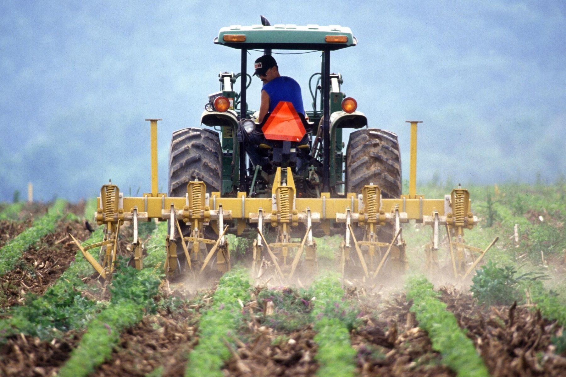 Calabria, Occhiuto limita le attività agricole per decreto