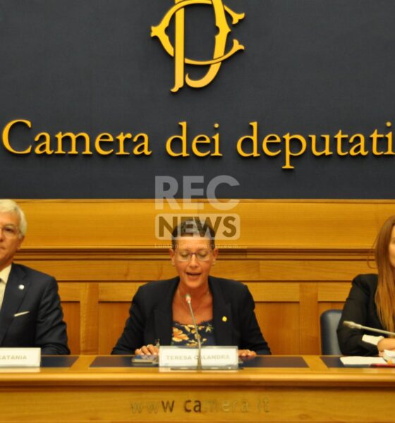 Telemedicina, l'impegno per un "uso responsabile" | Rec News dir. Zaira Bartucca