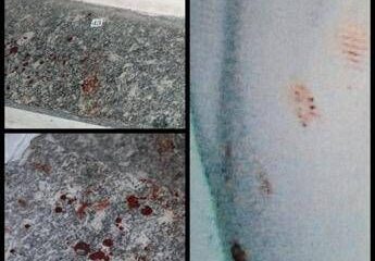 Caso Garlasco, atti: "Assassino non scende le scale e ha le mani insanguinate"